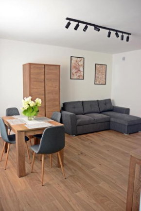 Apartament Młyńska 26